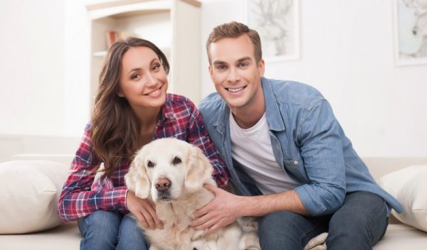 Anämie (Blutarmut) beim Hund Ursachen, Symptome &amp; Behandlung