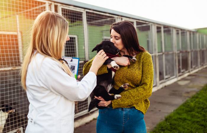 Ist medizinische Hilfe nötig oder muss ein Tier operiert werden, auch das wird im Tierheim für alle Tiere erledigt. (Foto: AdobeStock - 292053097  hedgehog94)